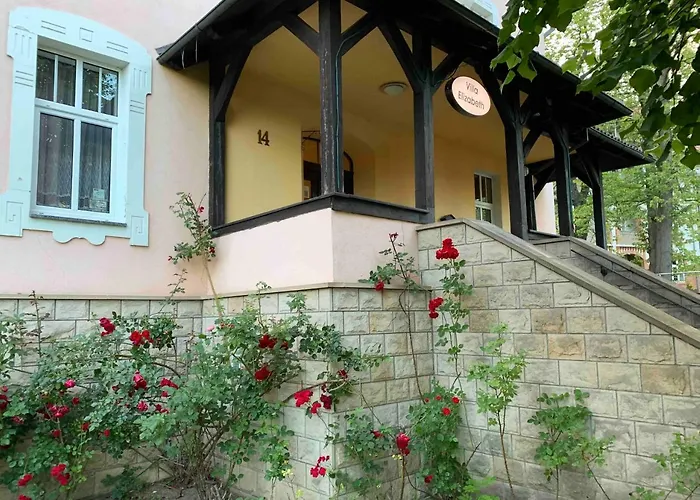 Elizabeth Kudowa Zdroj